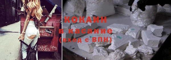 ешки Алексин