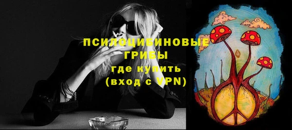 ешки Алексин