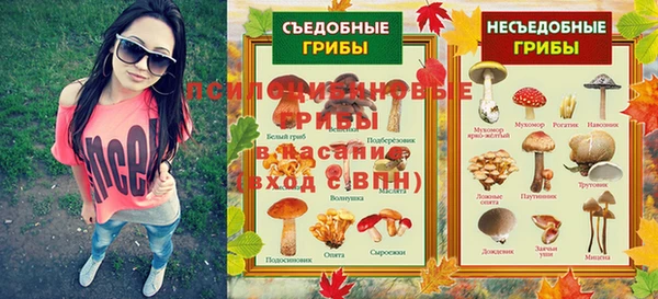Альфа ПВП Алзамай