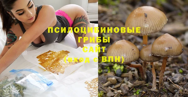 Альфа ПВП Алзамай