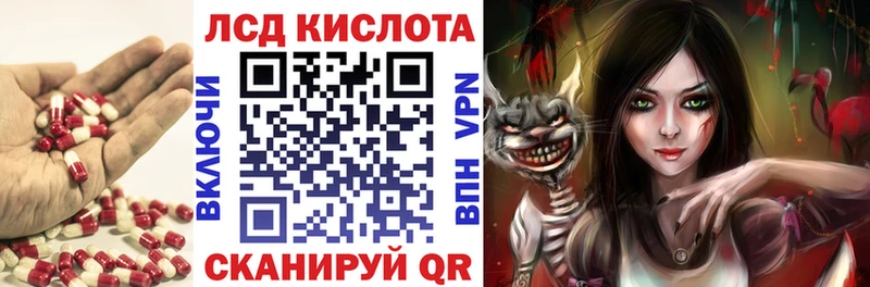 блэк спрут как войти  Ишим  Лсд 25 экстази кислота 