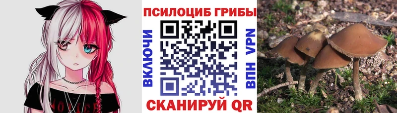 магазин продажи наркотиков  Ишим  Псилоцибиновые грибы GOLDEN TEACHER 